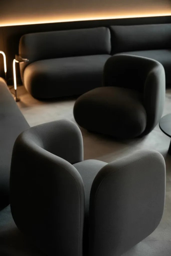 Black Living Room with Curved Furniture